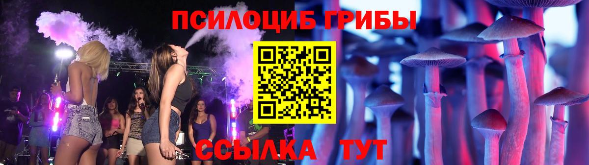 Псилоцибиновые грибы Psilocybe Бор