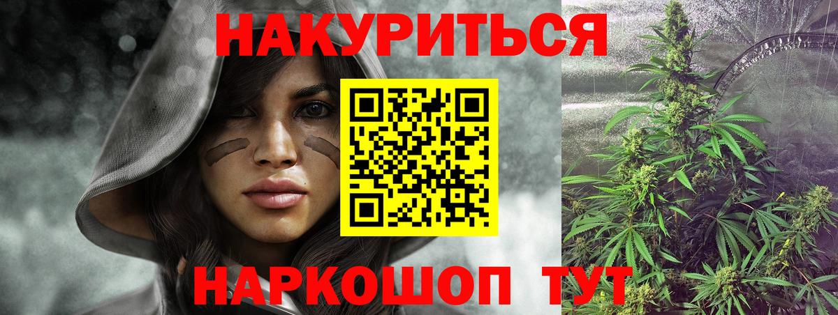 Конопля план  МАРИХУАНА сатива  Бор  Вход с VPN 